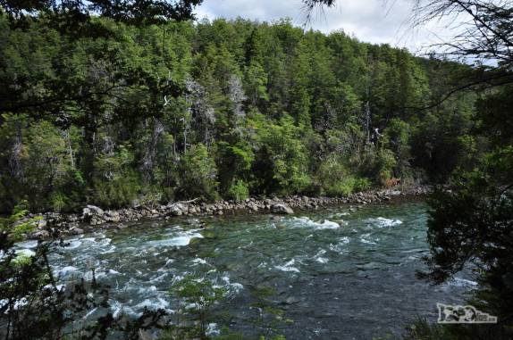 Um rio cheio de corredeiras que une os lagos no Parque Nacional Los Alerces, ao norte de Trevelin, na patagônia argentina